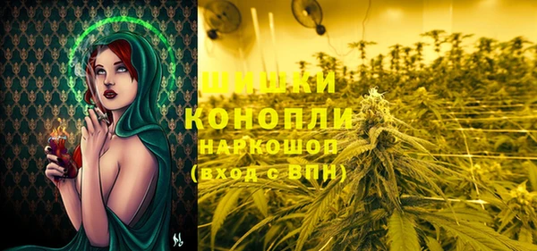 тгк Богородицк