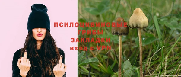 молекула духа Бородино