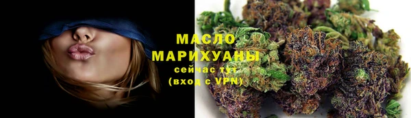 молекула духа Бородино