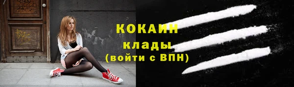 молекула духа Бородино