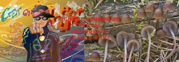 дживик Бугульма
