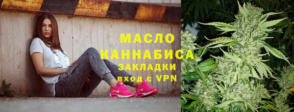 молекула духа Бородино