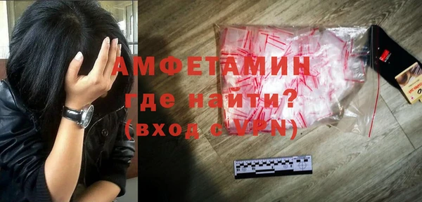 молекула духа Бородино