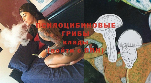скорость Богородск