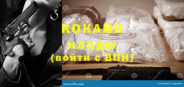 тгк Богородицк
